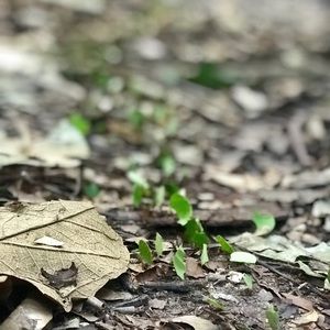 Meet your Posher, Elliot